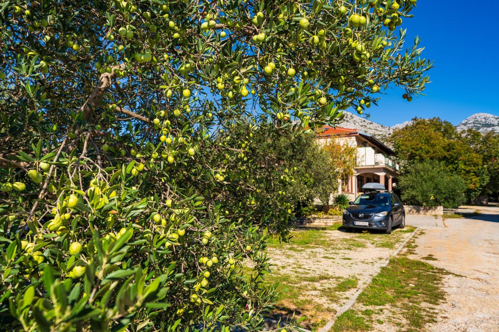 Apartments Adriana Starigrad Paklenica Exterior photo